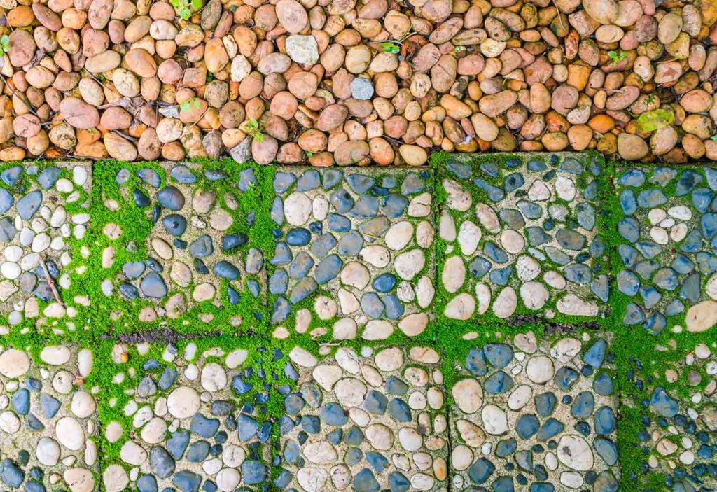 Yard drainage solutions Kentucky
